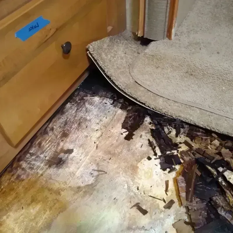 Best Wood Floor Water Damage Service in Waconia, MN